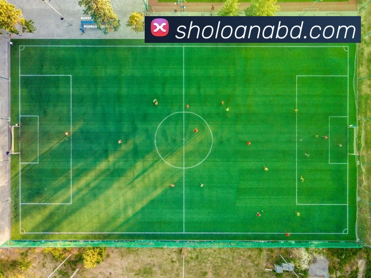 mksports官方网站平台生态图